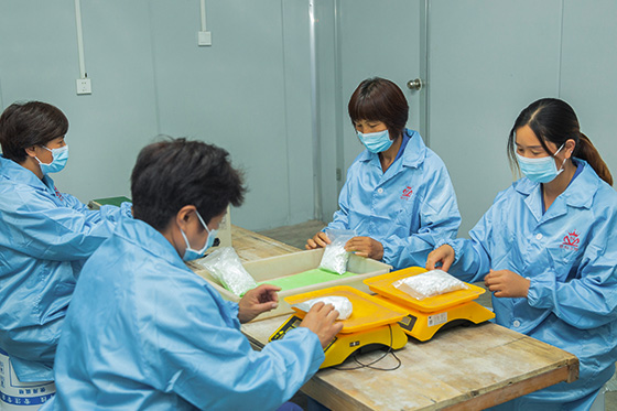 提供科學化產品定製方案