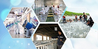 二氧化氯在食品加工領域的合規應用與解決方案