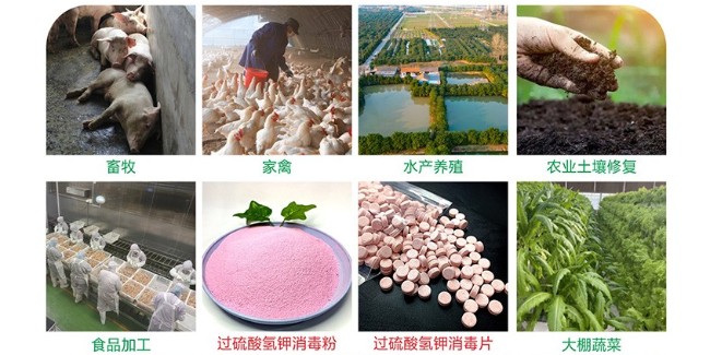 深耕匠心製劑，賦能綠色未來——開封恩科生物，單過硫酸氫鉀實力生產廠家